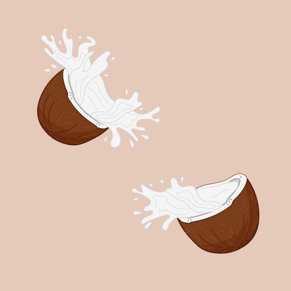 Coconuts bursting open and splashing coconut water in minimalist style. Isolated illustration. vector