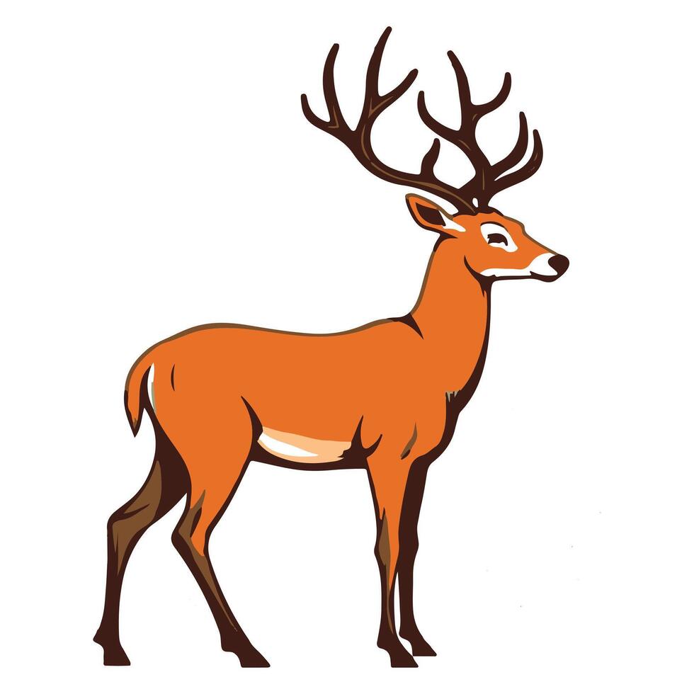 An American deer stands against a white backdrop vector
