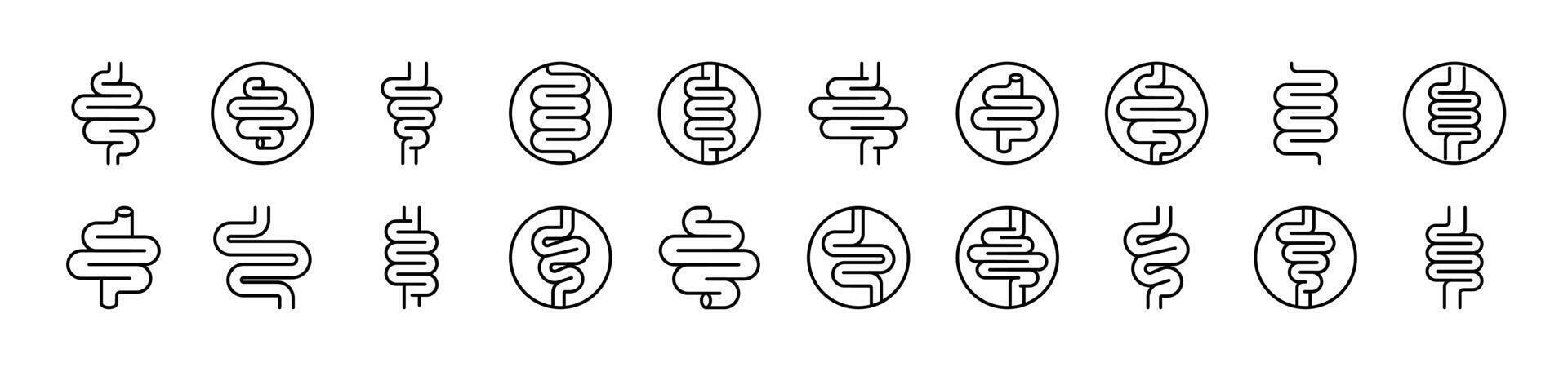 Digestion and Intestine Set of Thin Icons. Editable Stroke. Suitable for Web Sites, Books, Cards, Apps vector