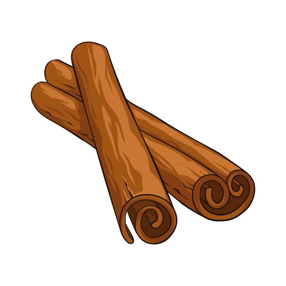 Cinnamon sticks, hand drawn Illustration vector