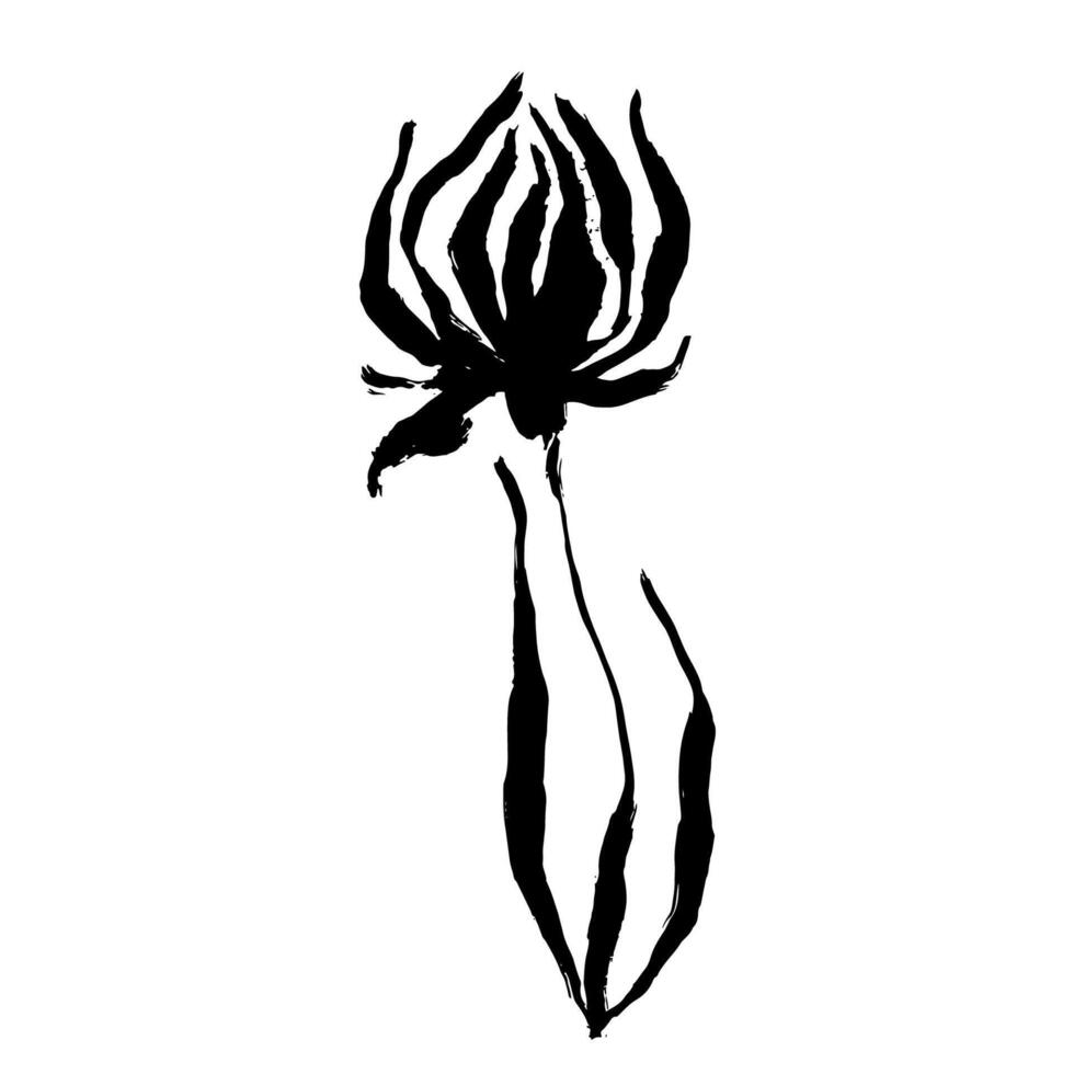 Grunge Dry Brush Ink Wild Flower vector