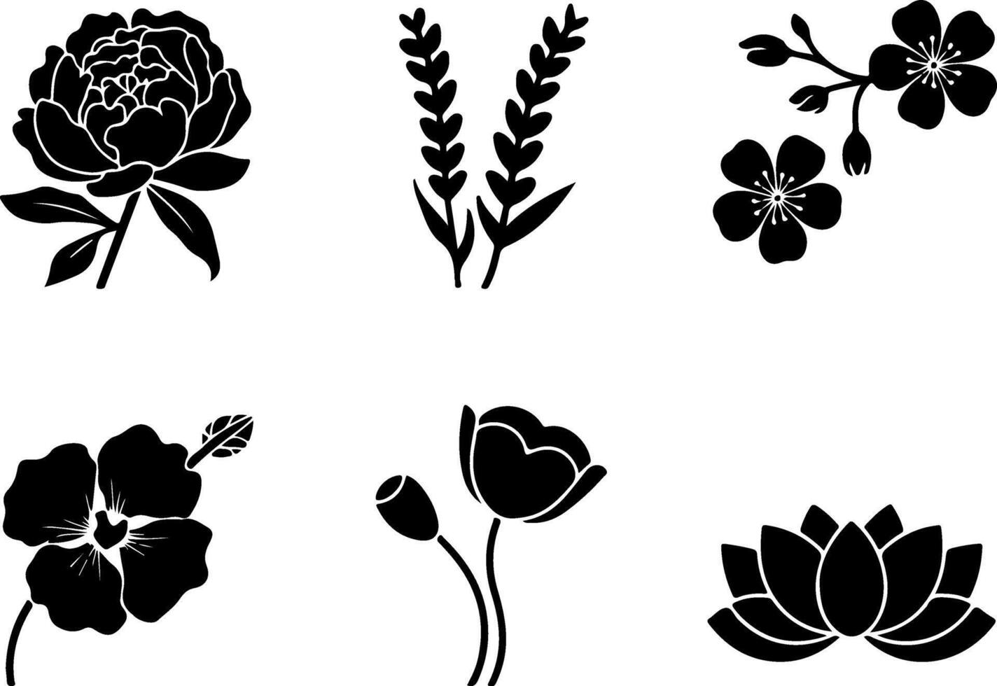 black and white flowers and leaves on a white background vector