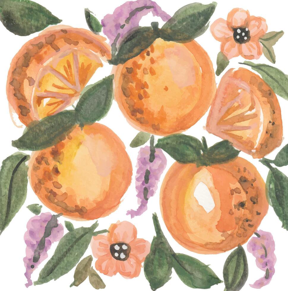 an illustration of oranges and flowers vector