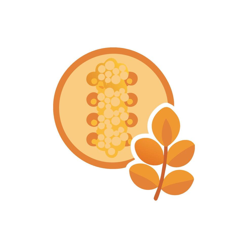 Nutritious Quinoa Icon Design vector