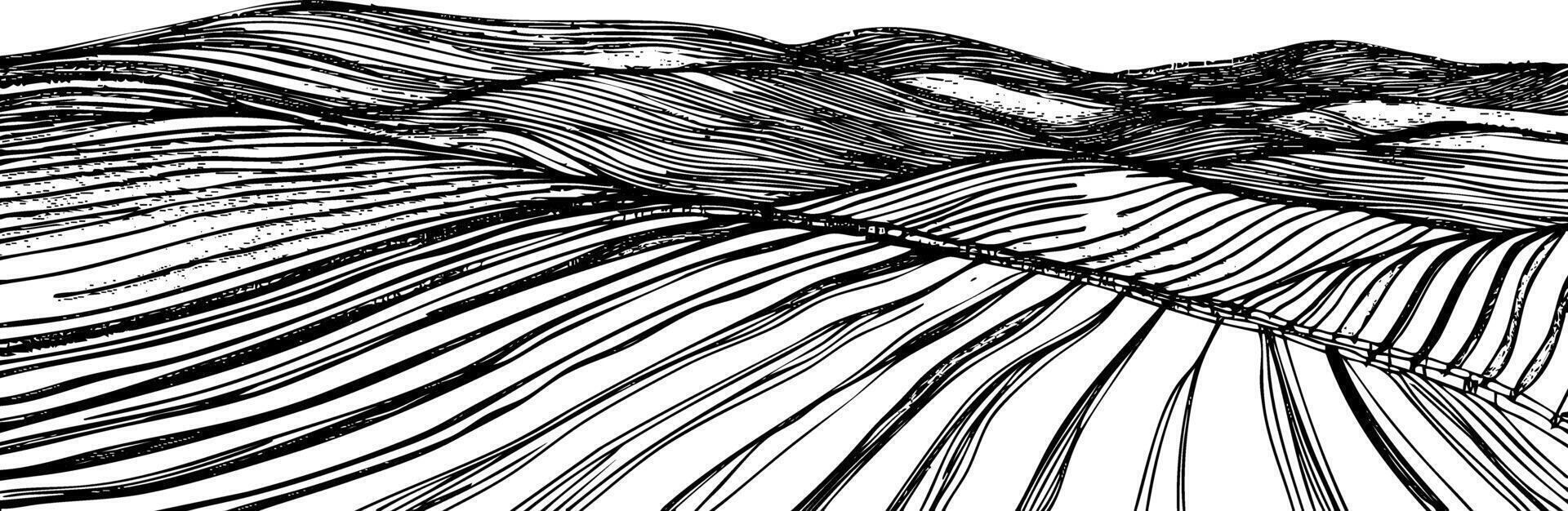 Abstract black and white landscape with flowing lines and curves. vector