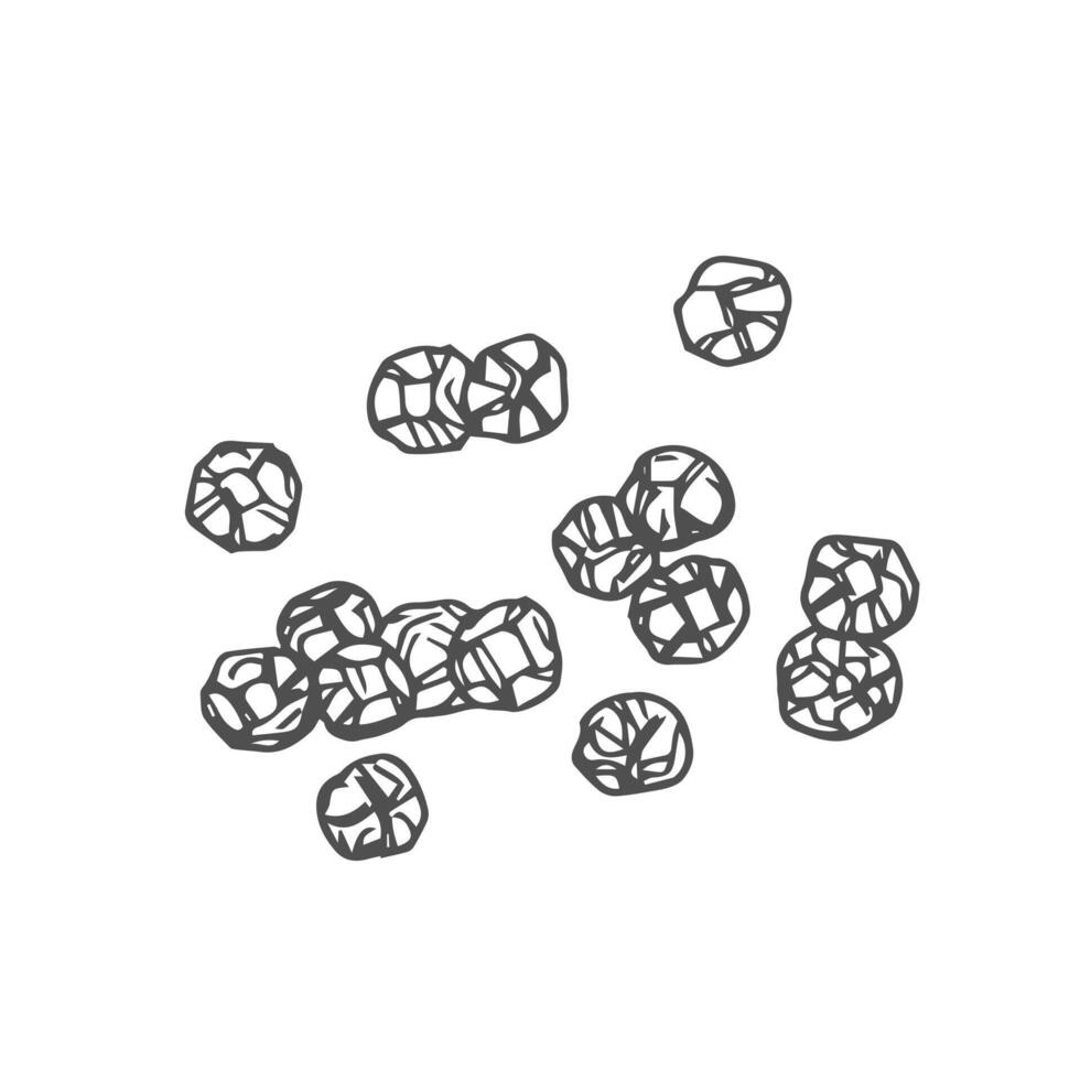 Black pepper seasoning. Hand drawn ink sketch. vector