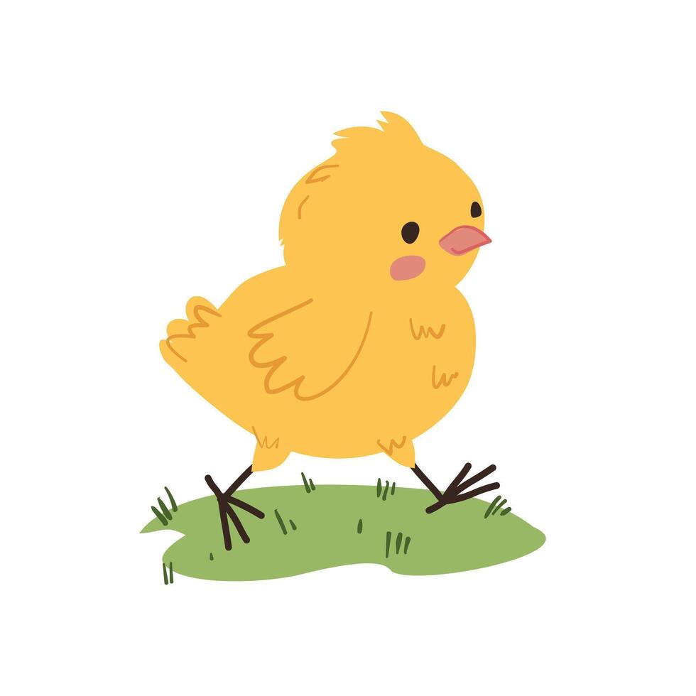 Cute Yellow Chick Walking on Grass vector