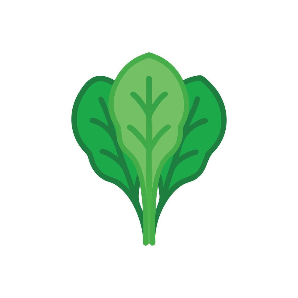 Fresh Spinach Icon Design vector