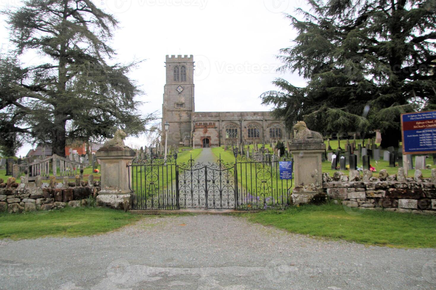 A large tree in front of the church photo