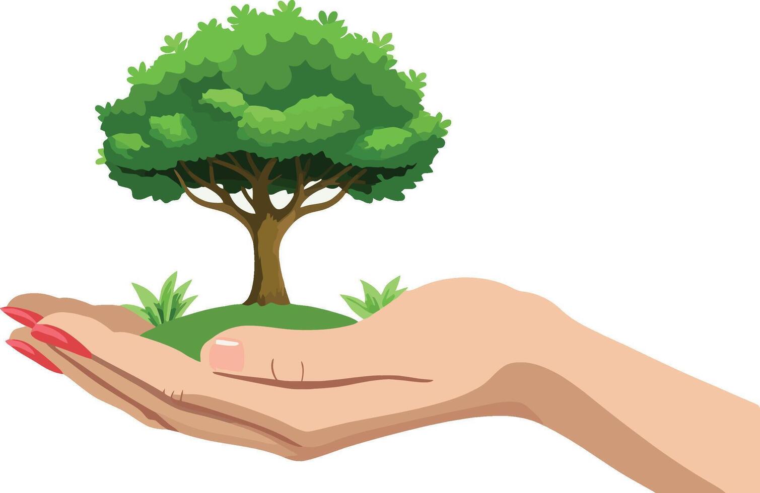 A hand holding a green tree on a white background vector