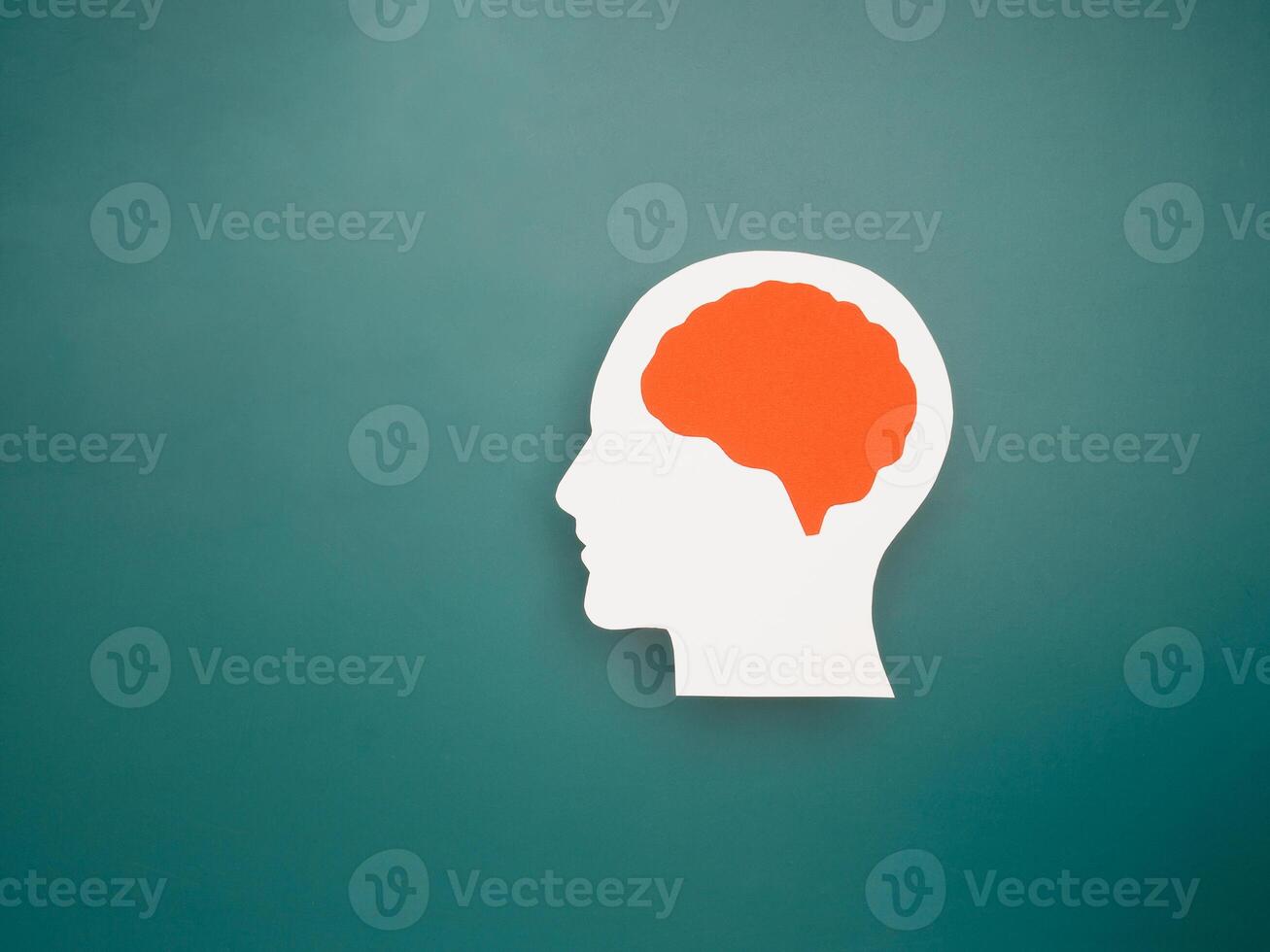 A brain shape made from paper on a green background photo