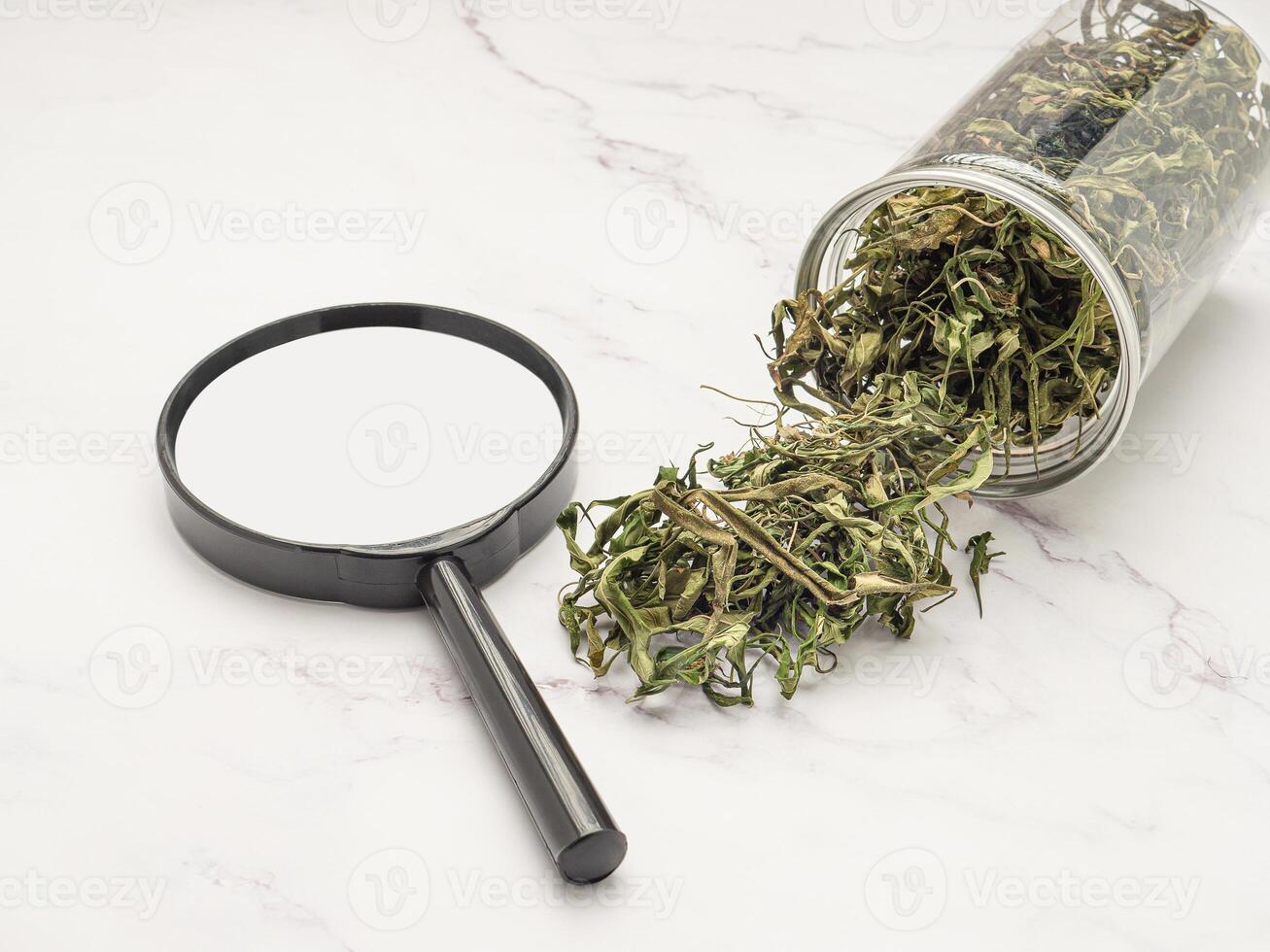 Dry cannabis leaf tea outside a plastic box and a magnifying glass on a marble table photo