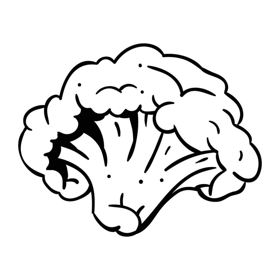 a black and white drawing of a cauliflower vector