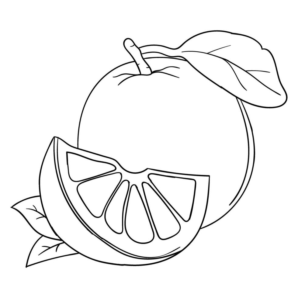 an orange and slice of fruit are outlined in black and white vector