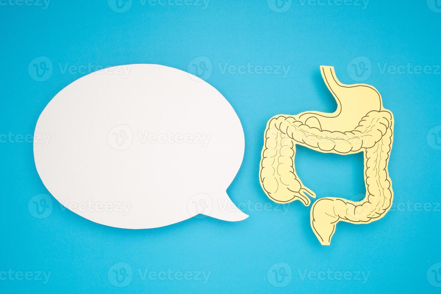 White speech bubble and a large intestine shape made from yellow paper over a blue background photo
