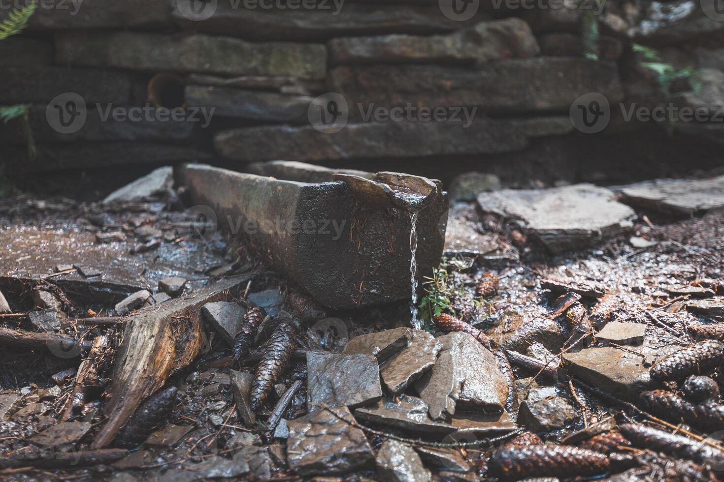 Water flowing from a rustic wooden spout in a mountain spring, surrounded by rocks, pine cones, and natural forest debris, highlighting the simplicity of nature resources photo