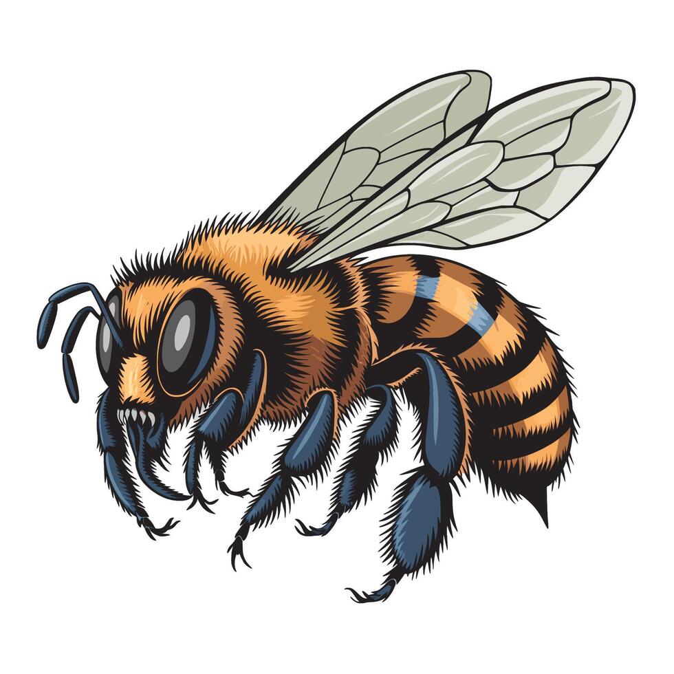 bee detailed flying design logo illustration vector