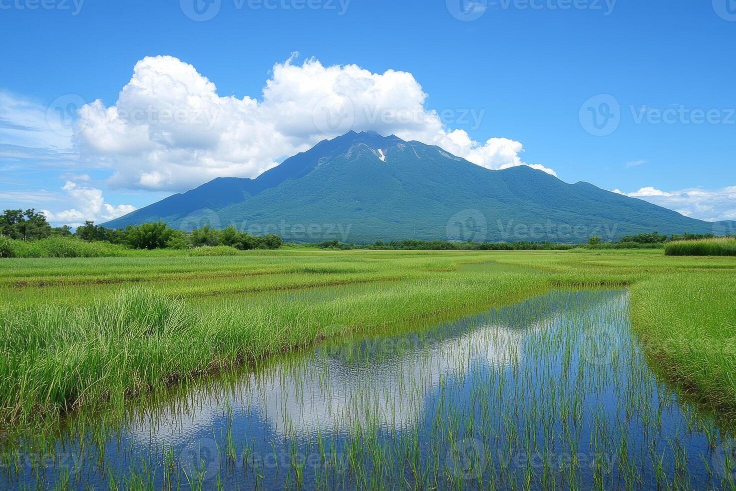 A serene landscape featuring a mountain, lush greenery, and reflective water under a blue sky. photo