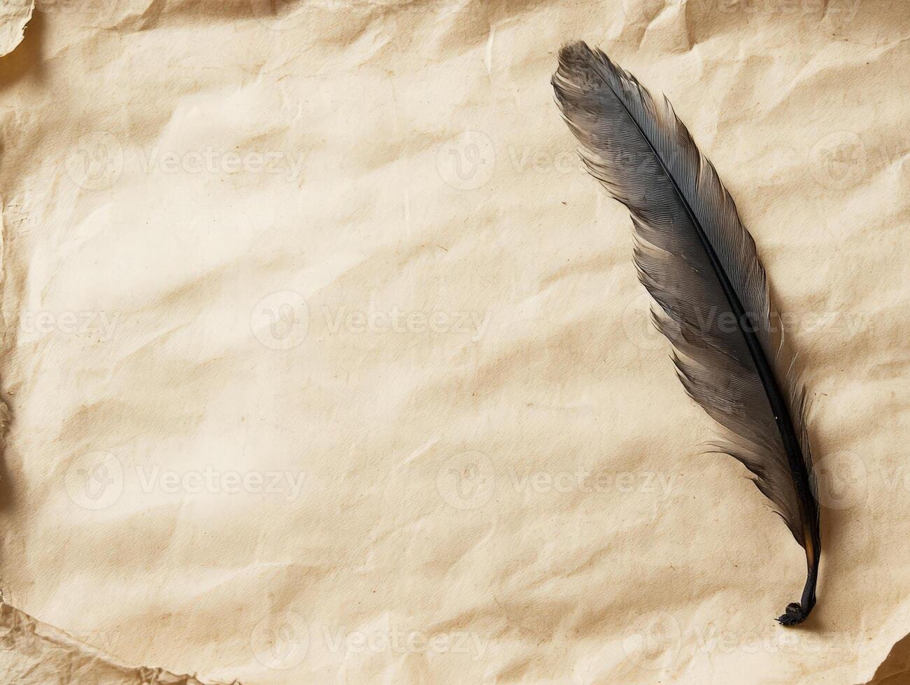 A black feather rests on crumpled parchment, evoking a sense of nostalgia and creativity. photo