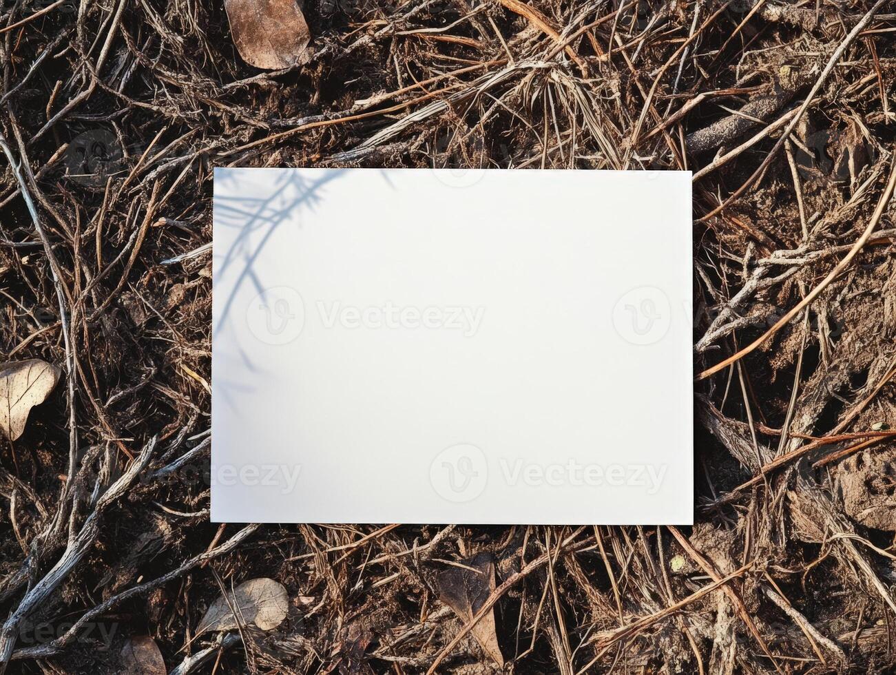 A blank white card resting on a bed of dried leaves and twigs in a natural setting. photo