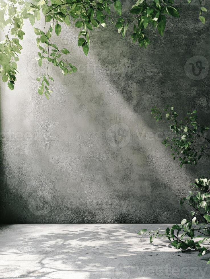 A serene, minimalistic space with natural light and greenery against a textured wall. photo