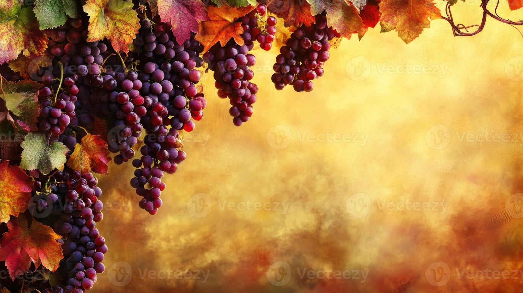 Bunches of ripe grapes with vibrant autumn leaves against a warm golden backdrop during harvest season photo