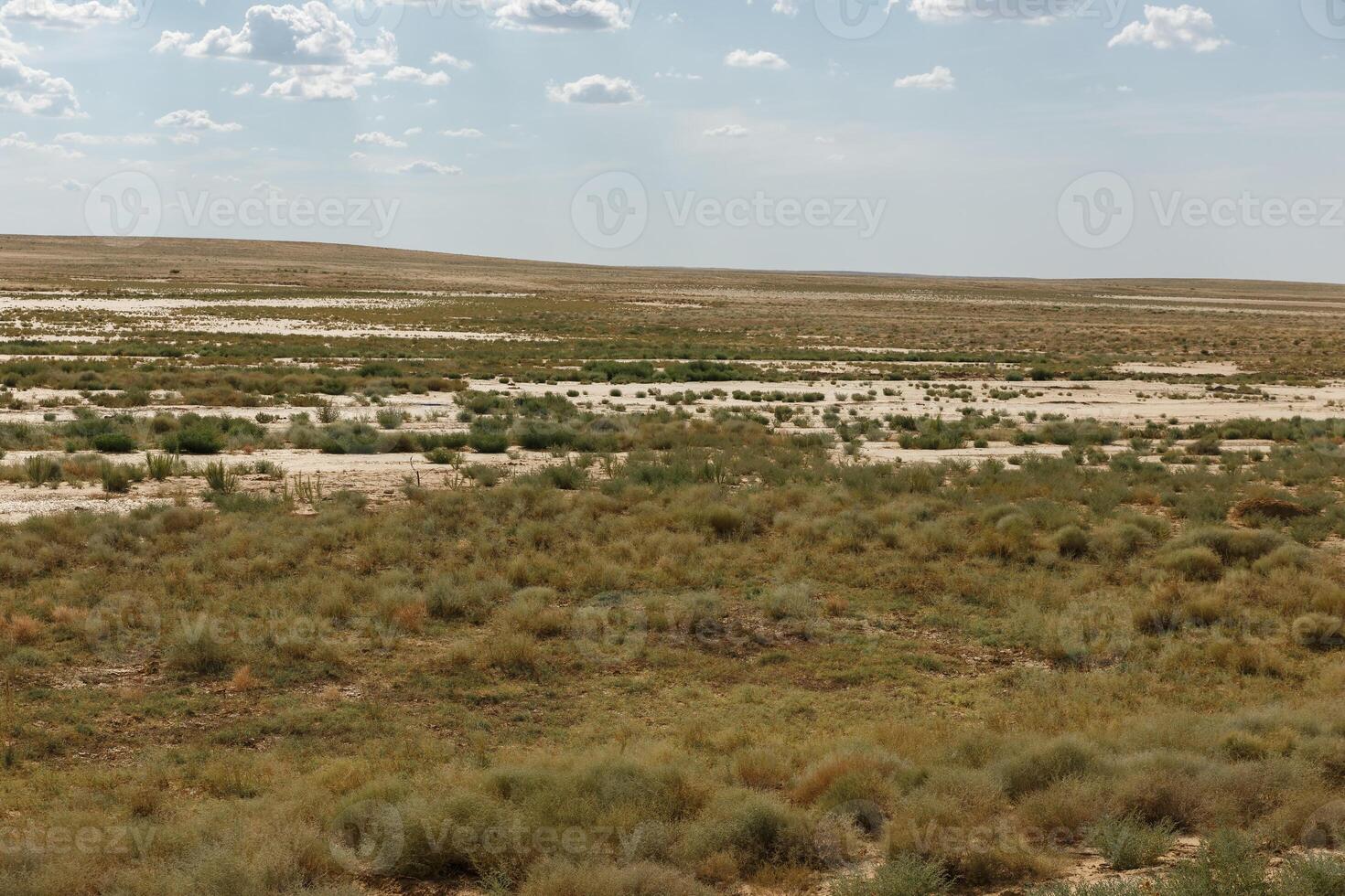 Vast grassland landscape of Kazakhstan showcasing its unique flora and arid terrain photo