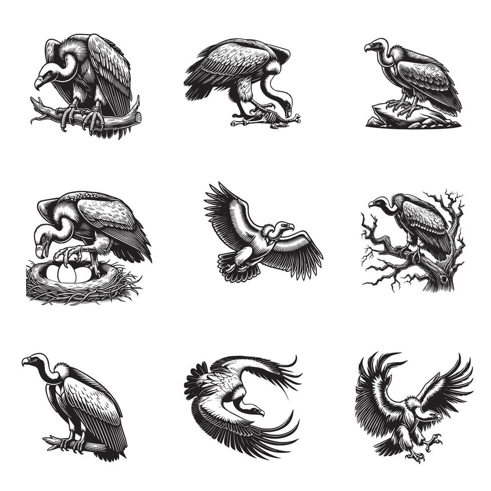 Majestic Vulture Silhouettes for Nature Design Projects vector
