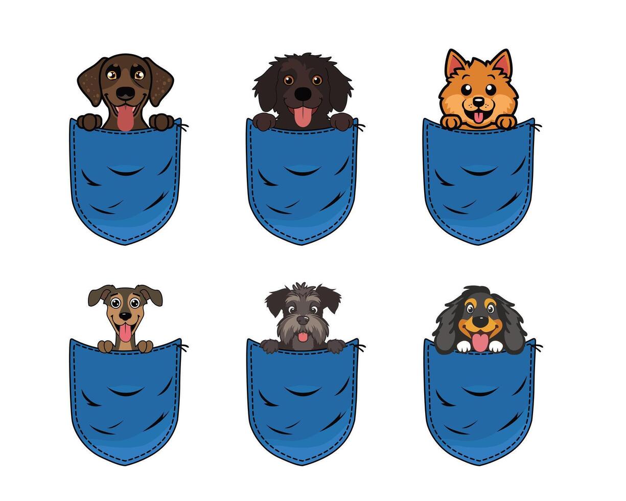Cute Dog Peeking from Jeans Pocket Isolated on White- Cute Dog in jeans pocket illustration vector