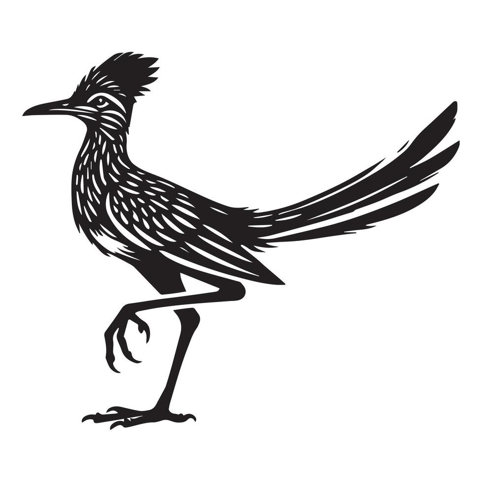 Roadrunner Bird Silhouette on White Background vector