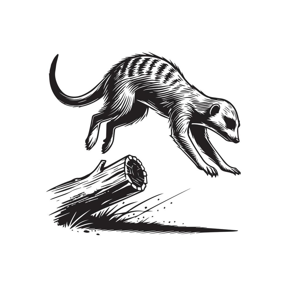 A black and white drawing of a meerkat jumping over a log vector