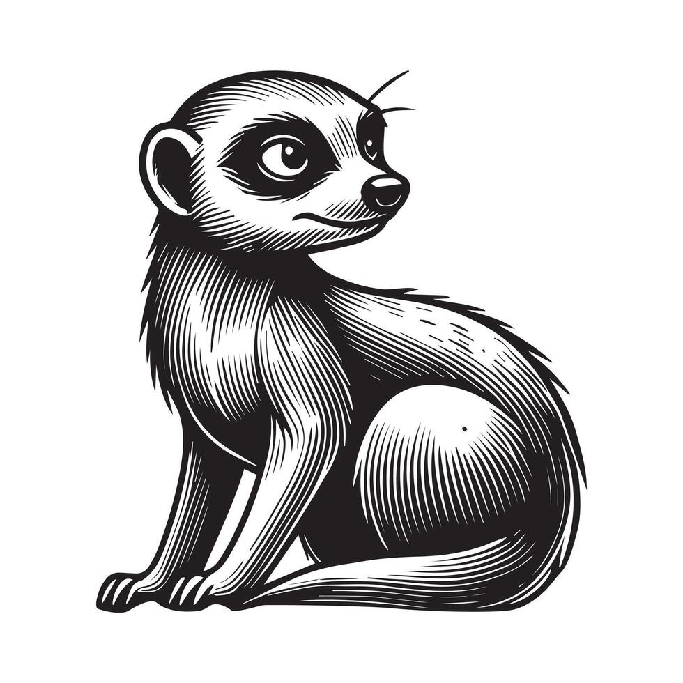 Meerkat Outline on Plain White Background vector