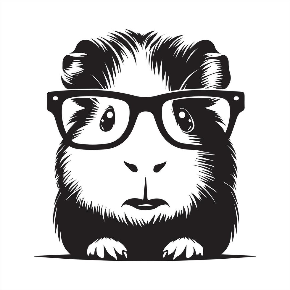 Fluffy Guinea Pig Isolated on Clean White Background vector