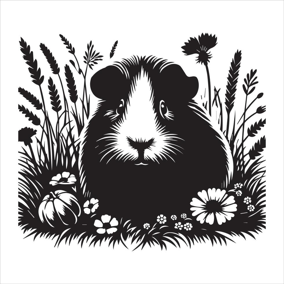 Guinea Pig with Long Fur Isolated on White vector