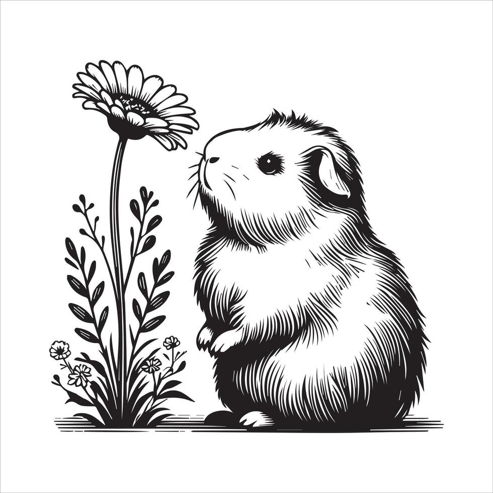 Guinea Pig Silhouette for Pet Lovers vector