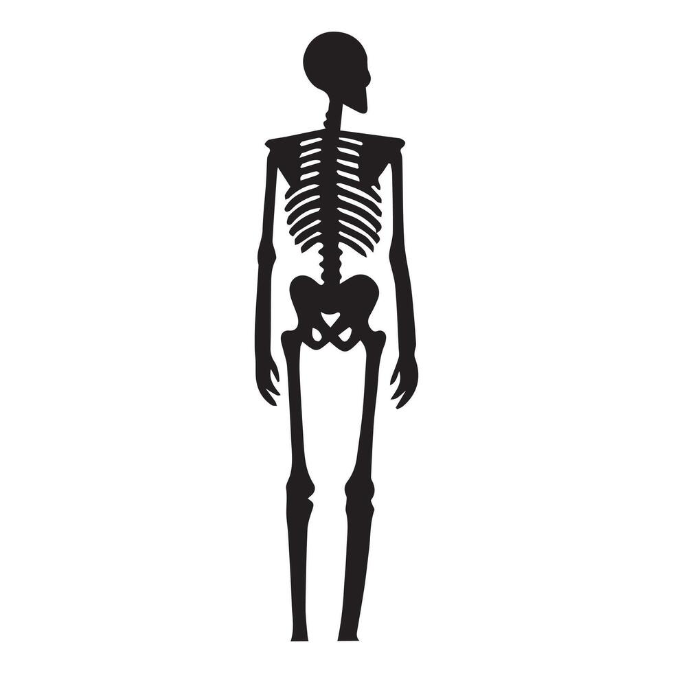 Skeleton Beneath the Moonlight Illustration vector