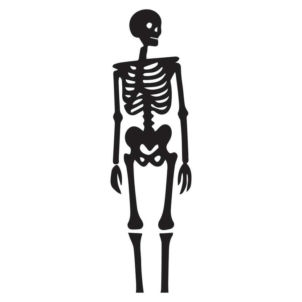 Moonlit Man Skeleton Artwork vector