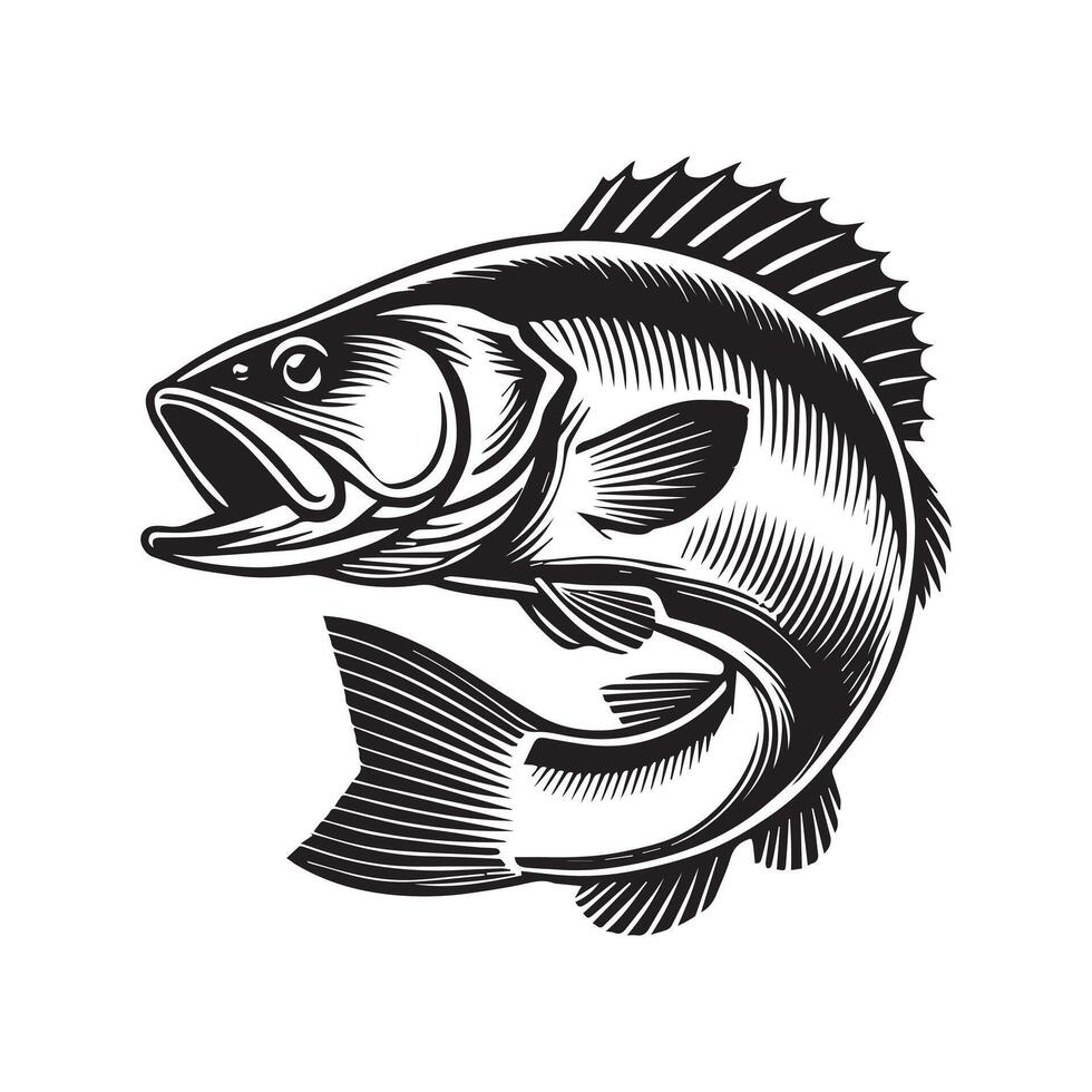 Vibrant European Seabass Fish Illustration Design vector