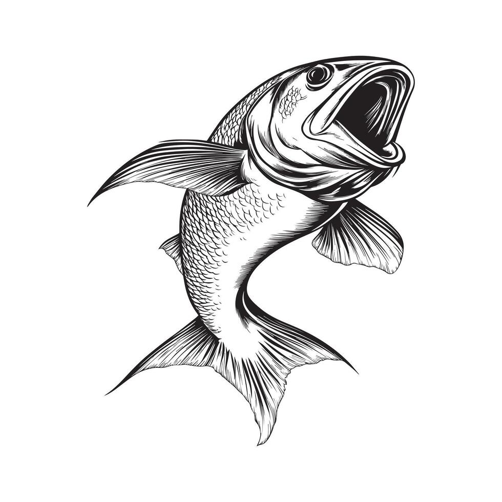 Bluefish Fish Illustration Artwork vector