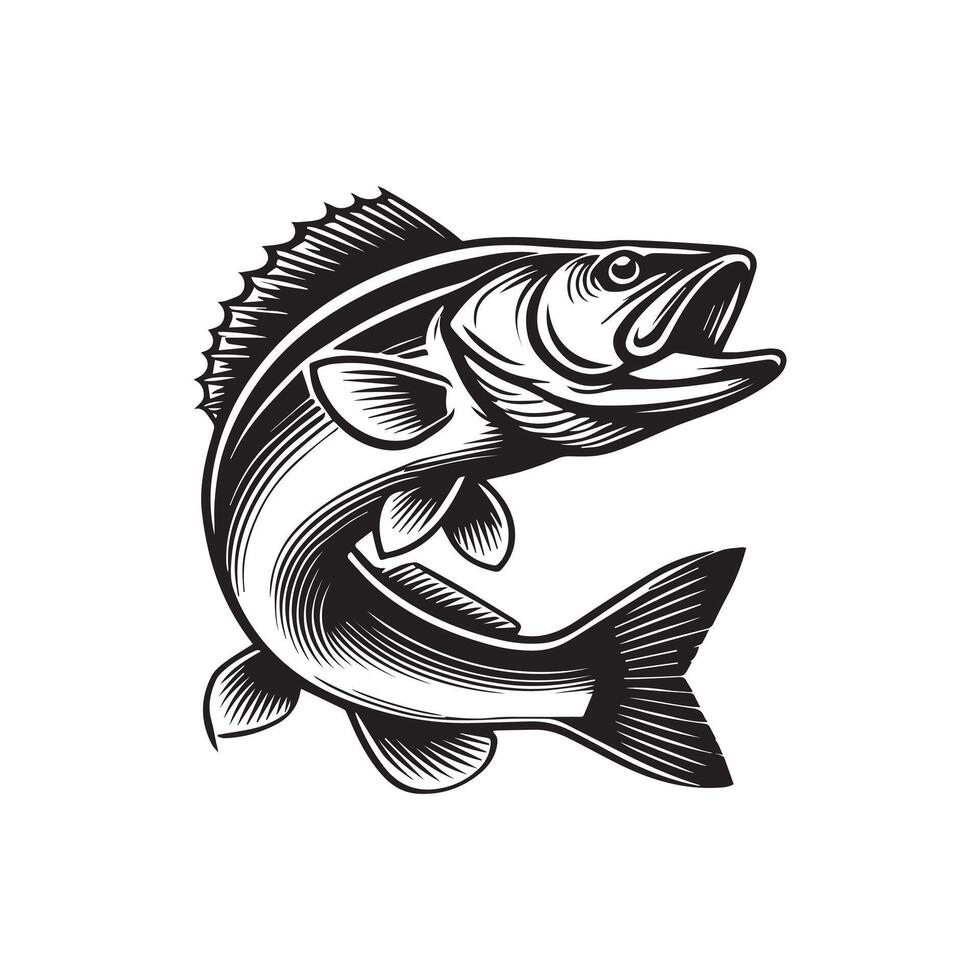 Beautiful Walleye Fish Illustration Clipart Graphics vector