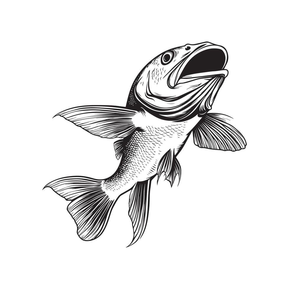 Atlantic Cod Fish Illustration Artwork vector