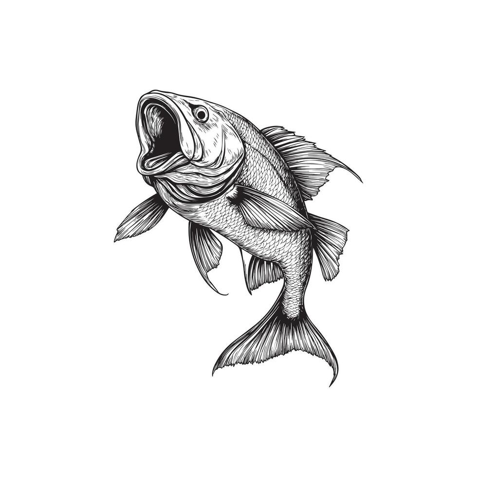 Red Snapper Fish Clipart Illustration Design Art vector