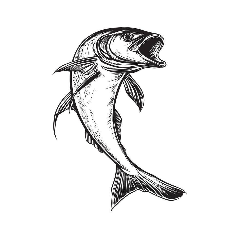 Tarpon Fish Illustration Clipart for Design Projects vector