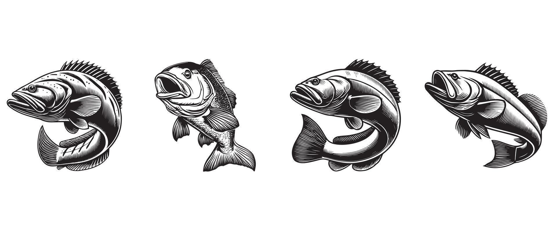 Set of Atlantic Cod Fish Clipart Design vector