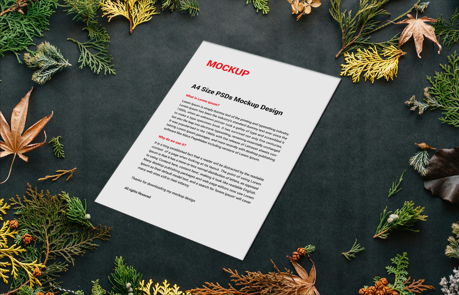 invoices Letterhead Menu poster flyers or Letters mockup psd