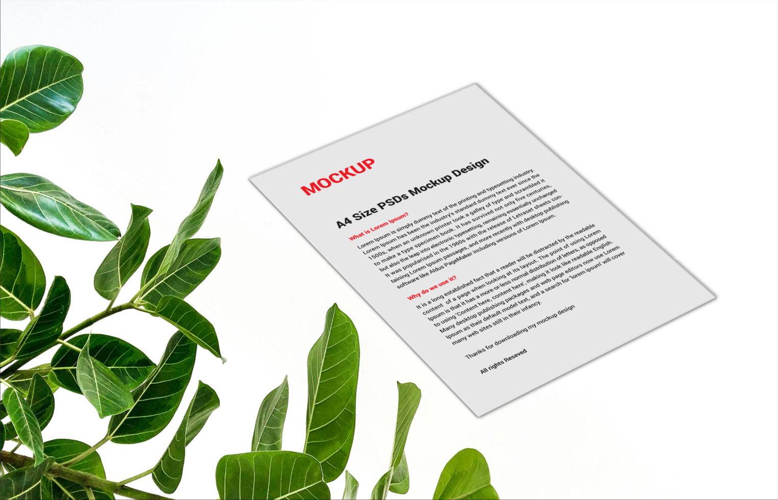 invoices Letterhead Menu posters flyer or Letter mockup psd