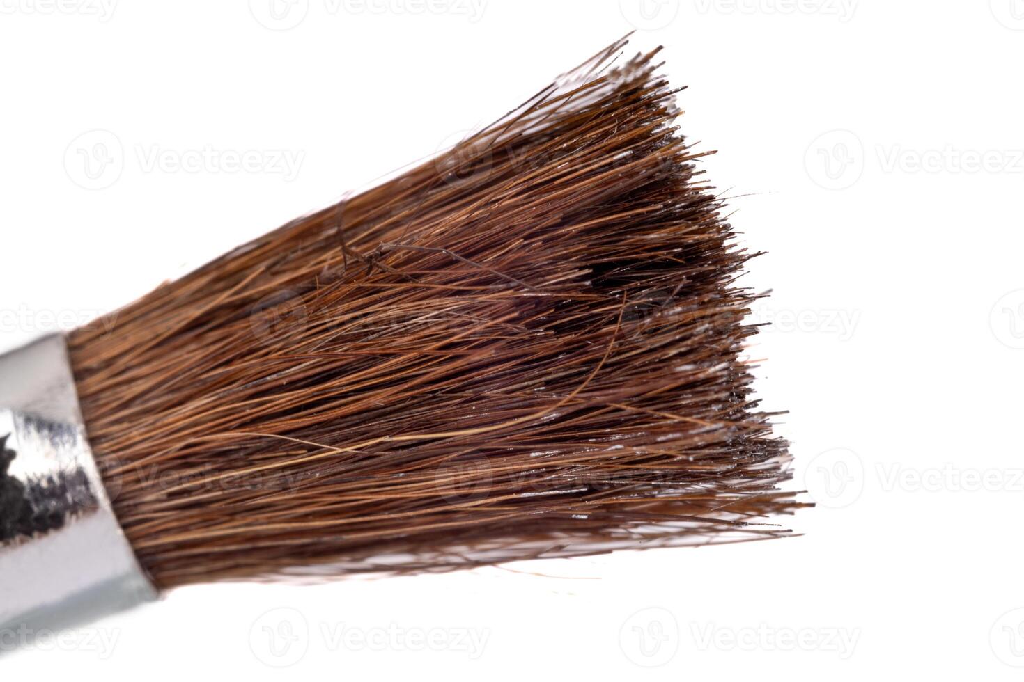 Macro detail of a paintbrush bristle photo