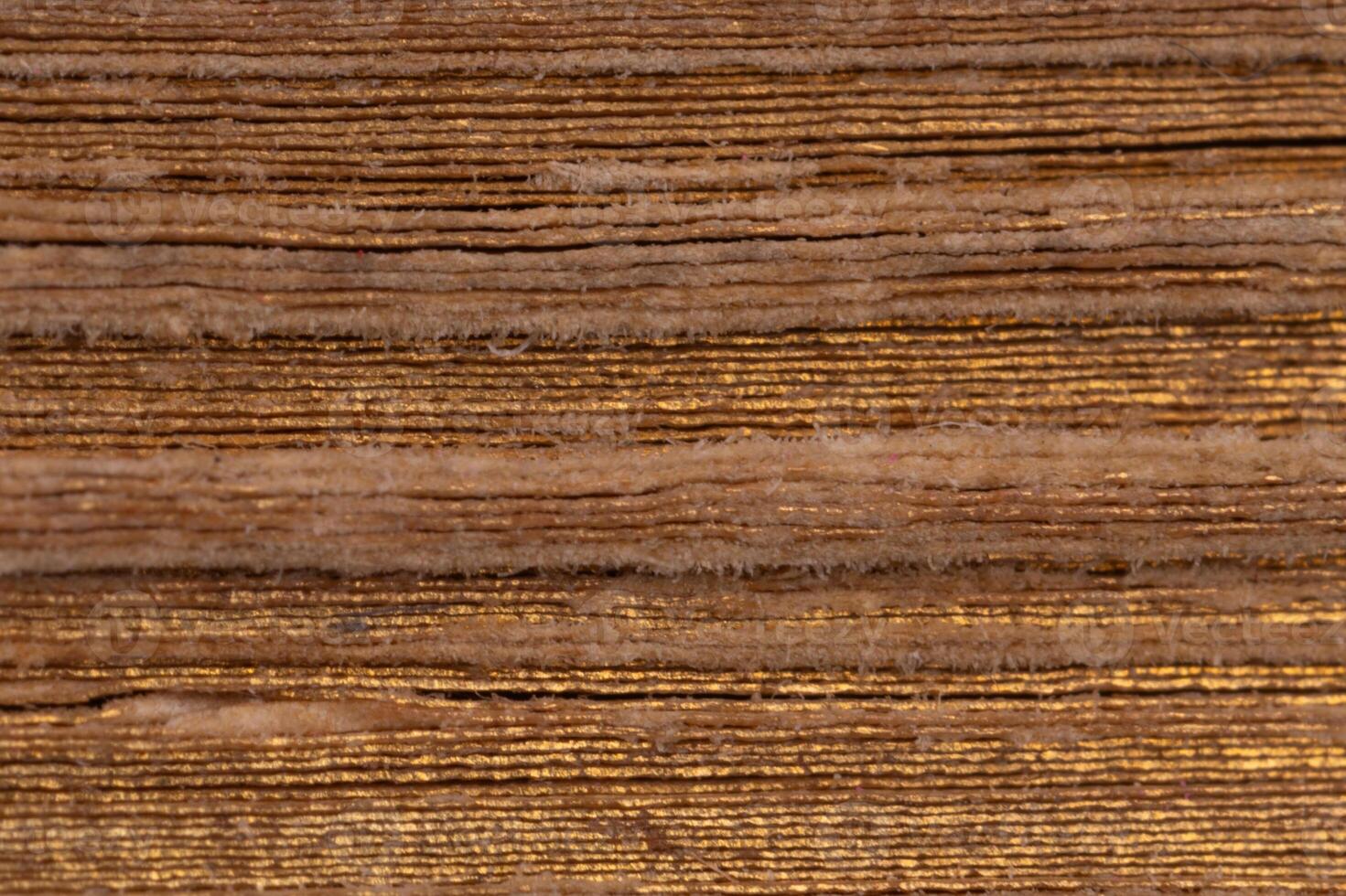 Close up of aged book pages texture photo