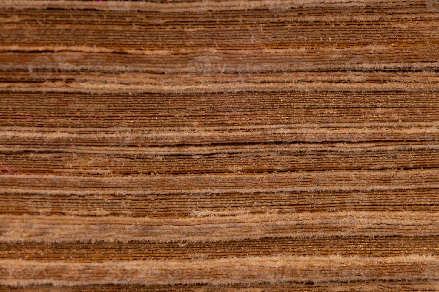 Macro shot of layered aged book pages photo