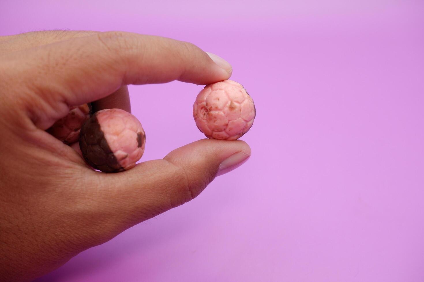 Hand holding chocolate ball snack with pink and brown halves on purple backdrop photo